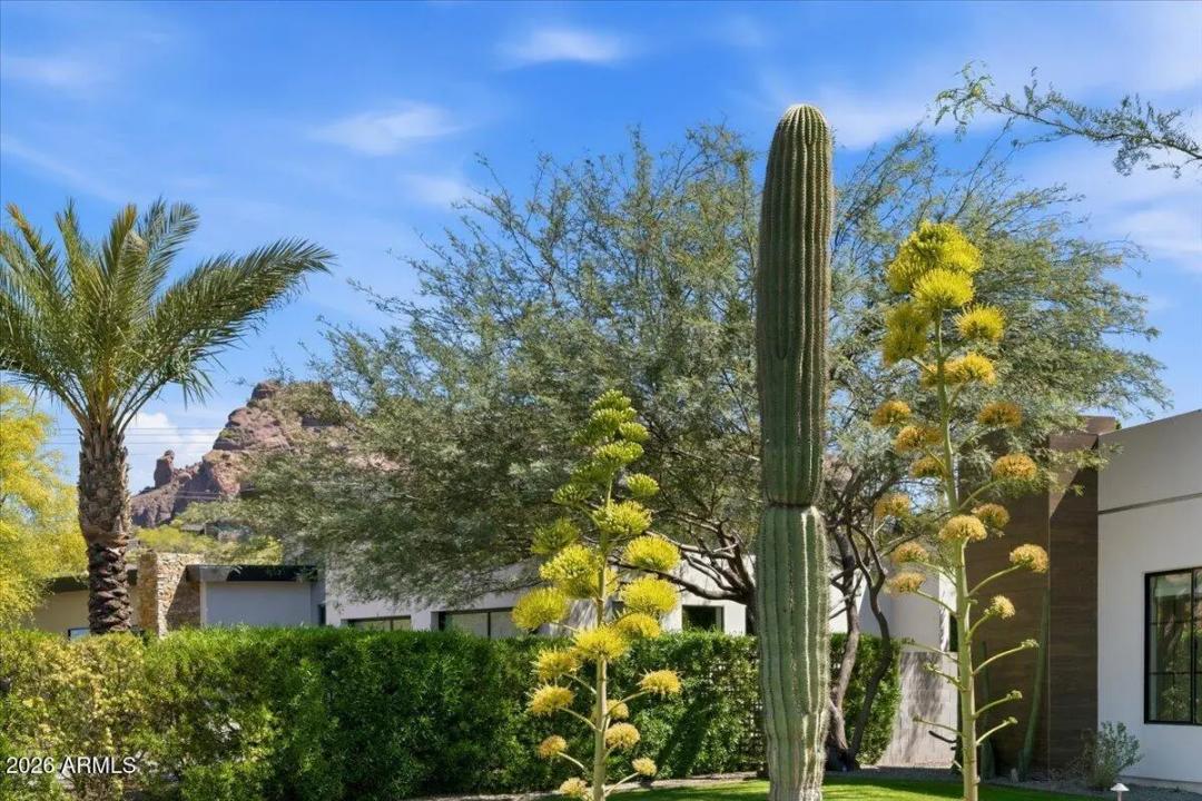 Real Estate Picture 11