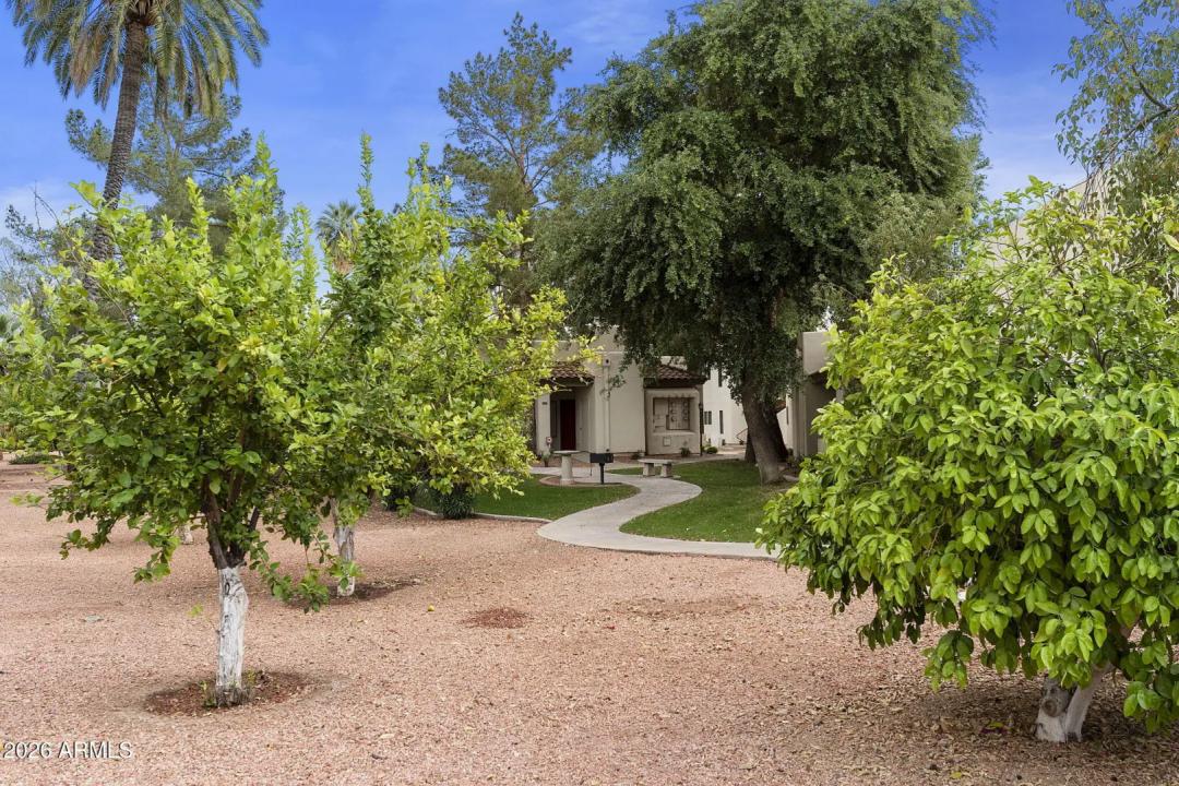 Real Estate Picture 16