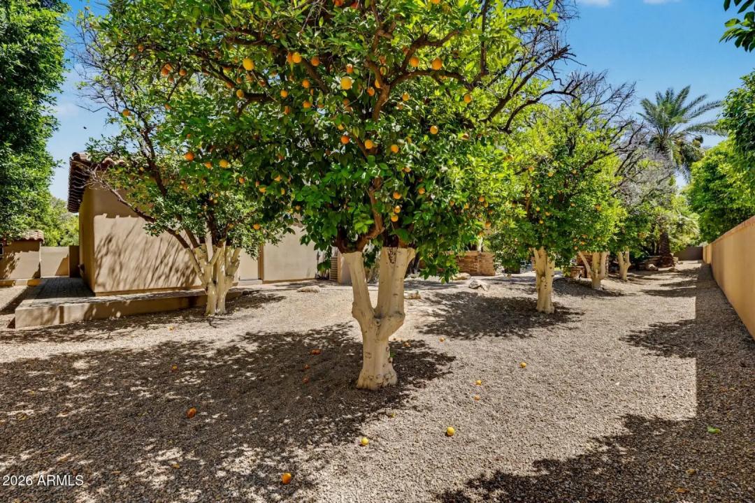 Real Estate Picture 82