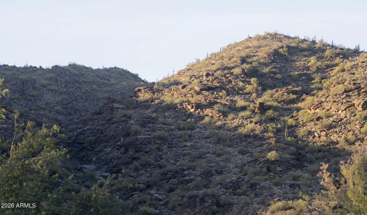 Real Estate Picture 37