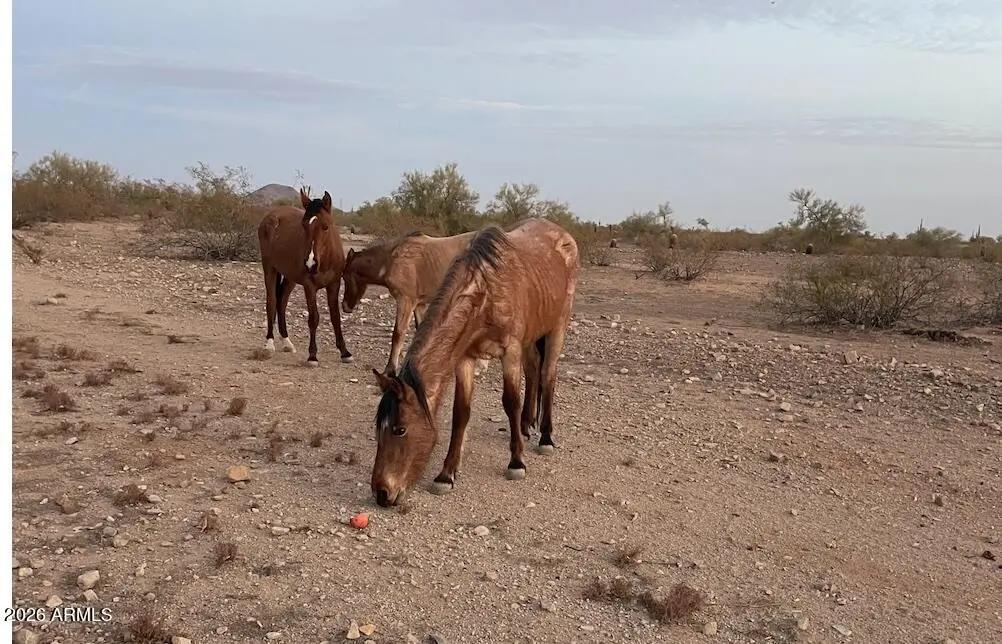 Real Estate Picture 47