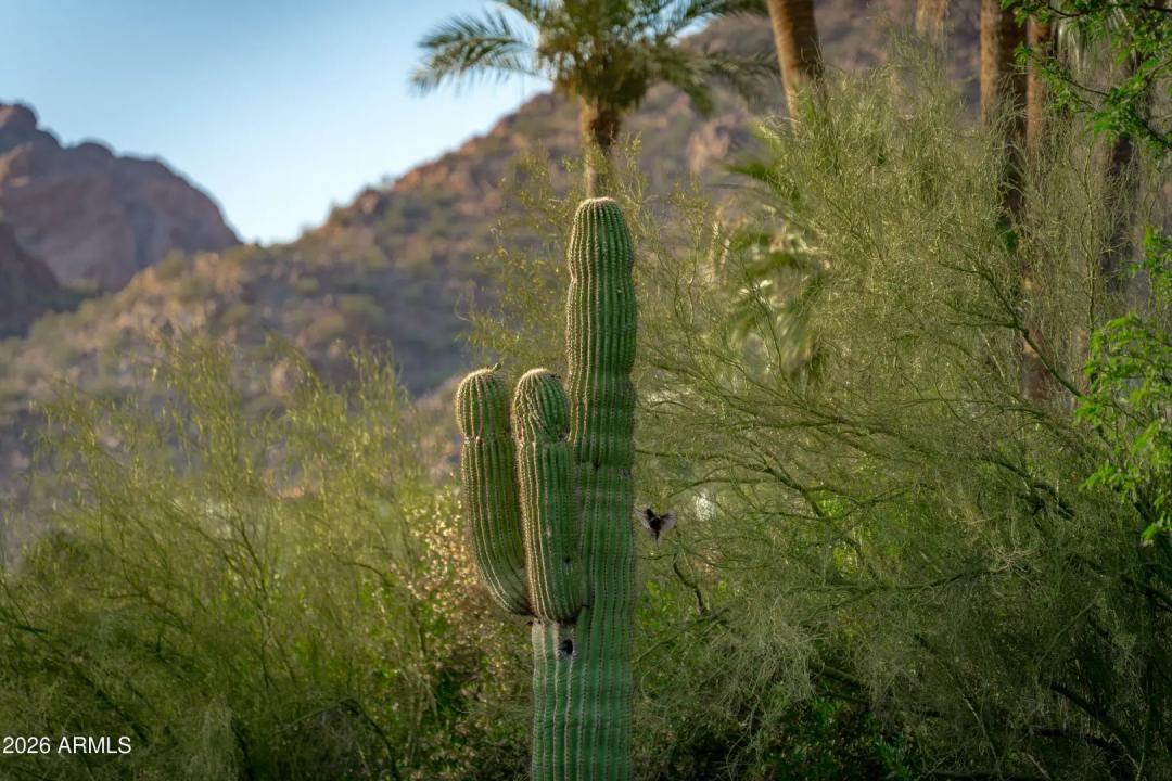 Real Estate Picture 116