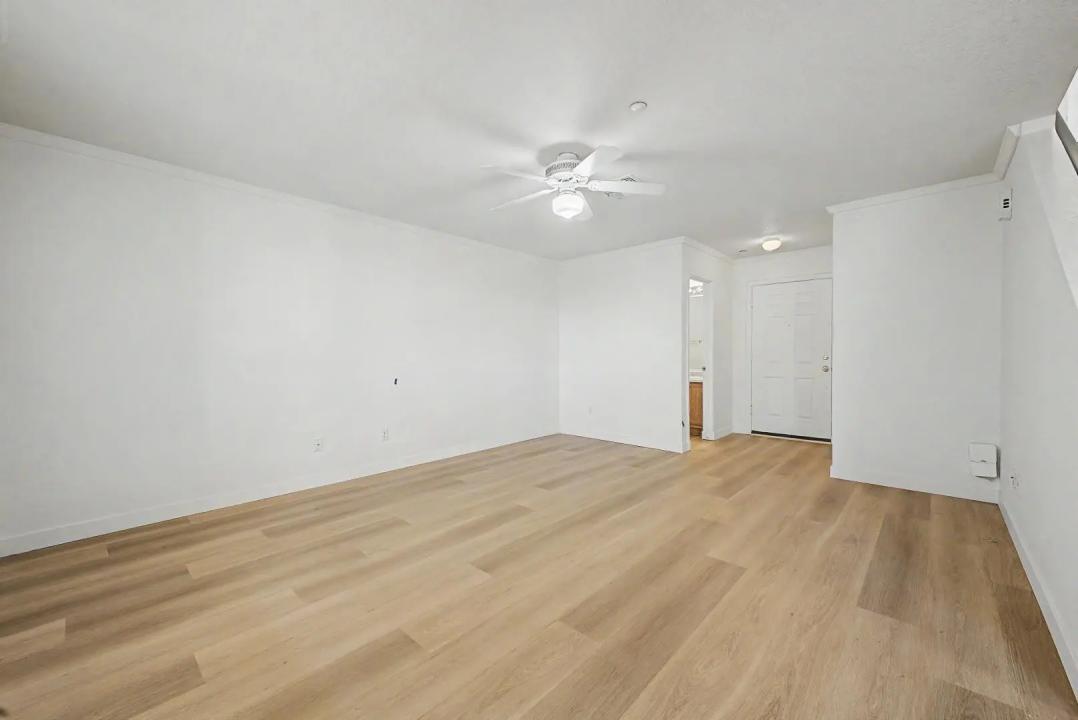 Real Estate Picture 16