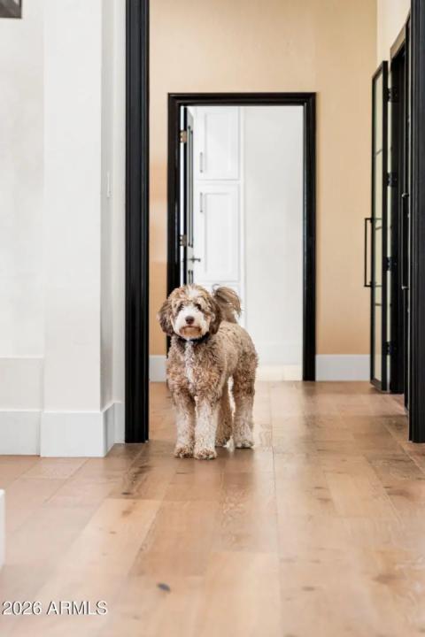 Real Estate Picture 30