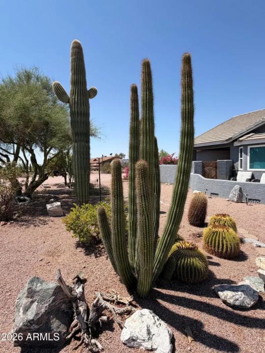 Real Estate Picture 62