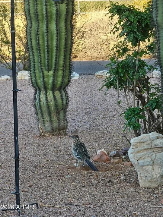 Real Estate Picture 64
