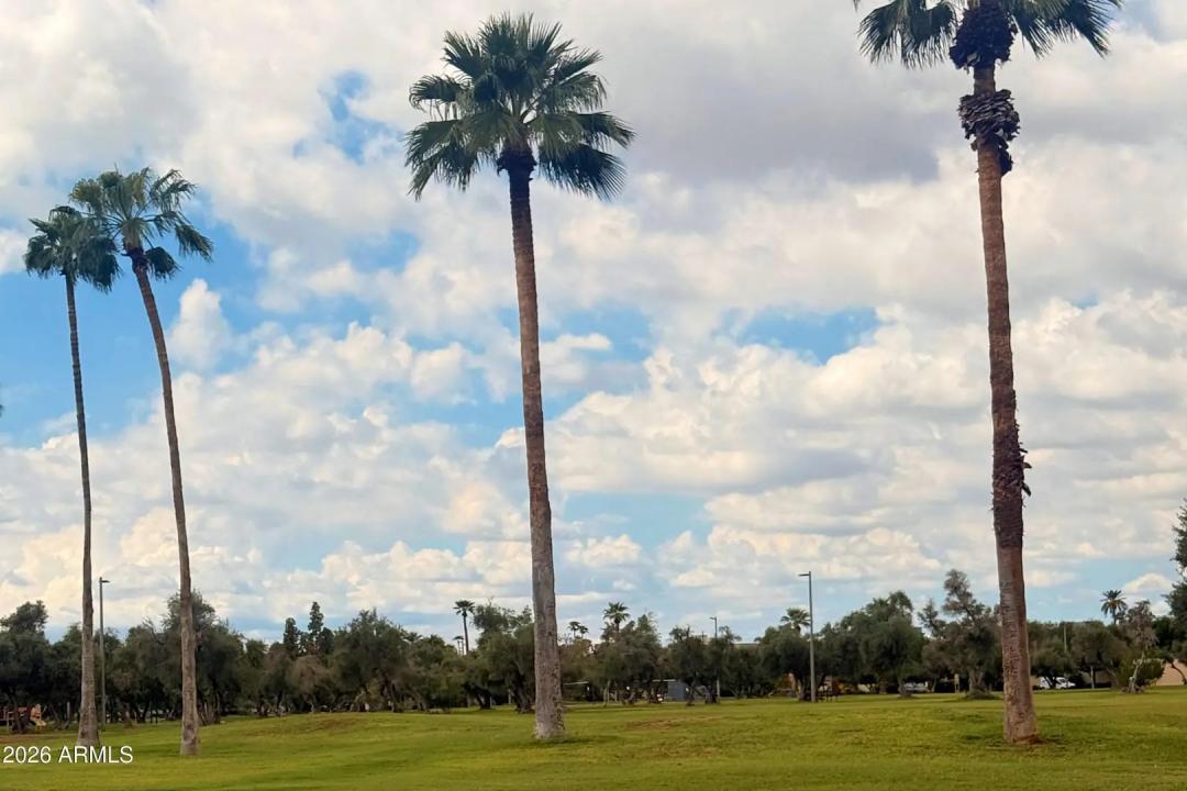 Real Estate Picture 29