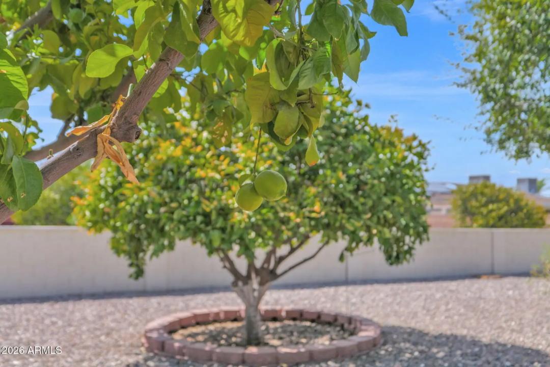 Real Estate Picture 34
