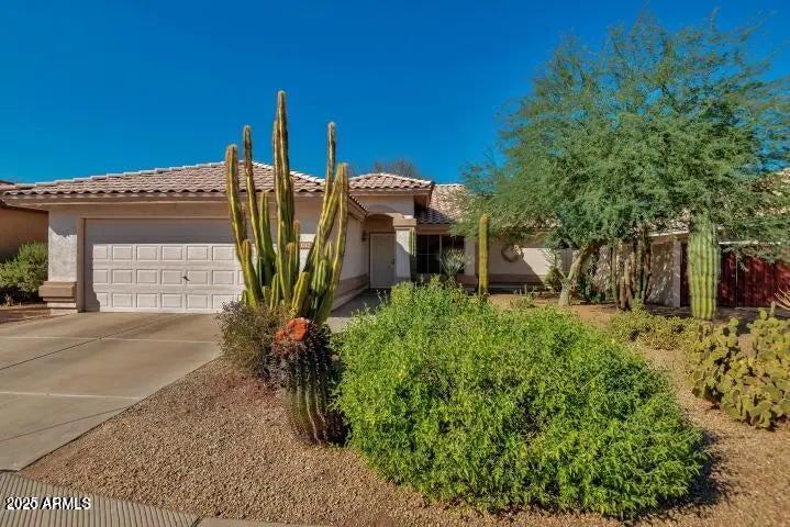 Real Estate Picture 1