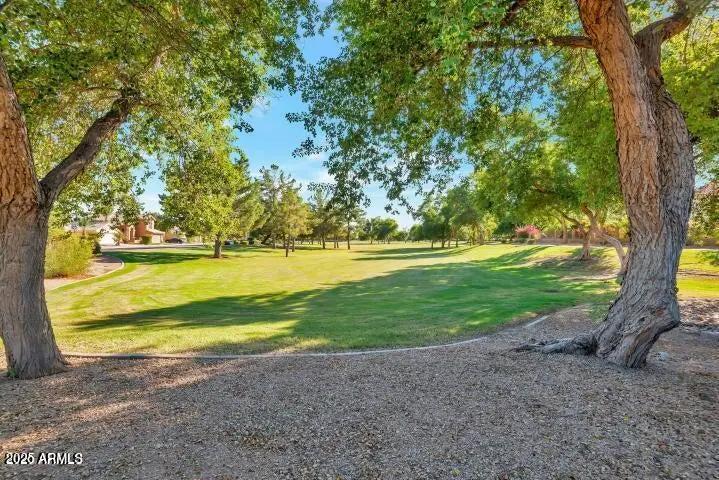 Real Estate Picture 4