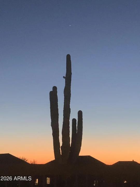 Real Estate Picture 64