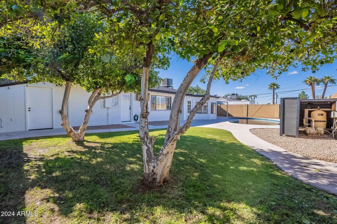 Real Estate Picture 8