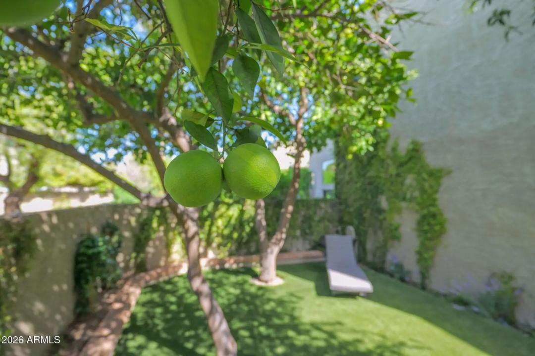 Real Estate Picture 32