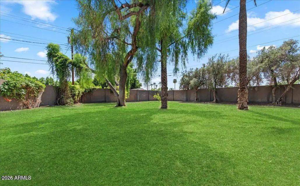 Real Estate Picture 1